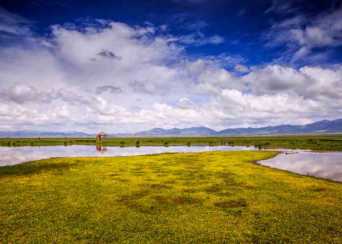 成都租大巴全攻略，别让车毁了你的*旅行-第3张图片-成都租车公司